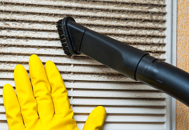 Best Professional Duct Cleaning Services  in Brown City, MI