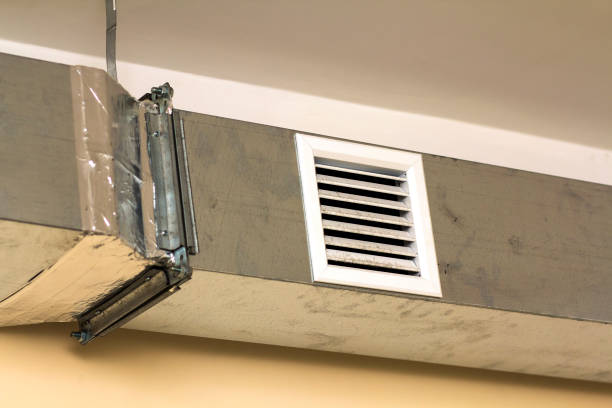 Best Air Duct Sanitizing Services  in Brown City, MI